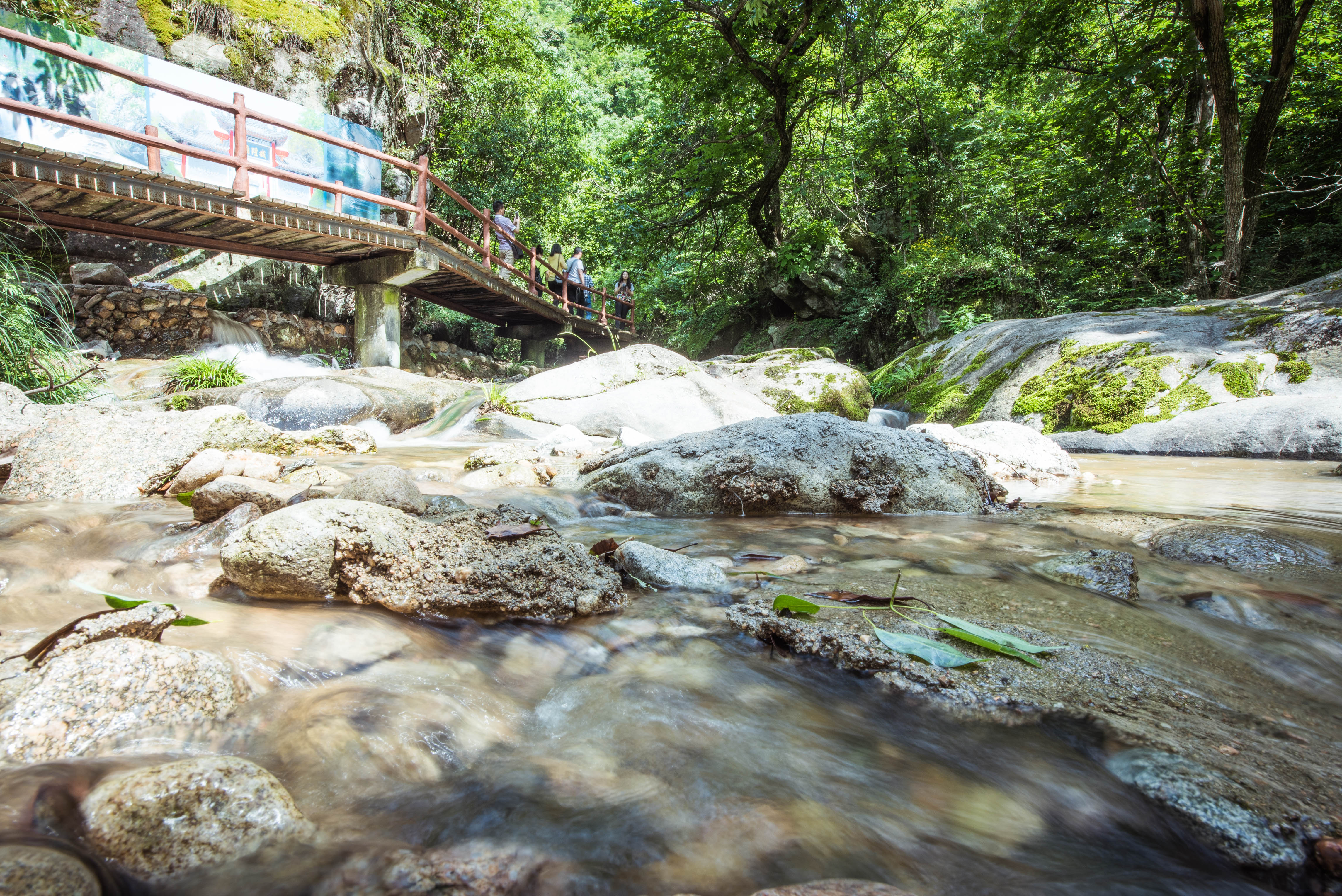 苍龙峡森林公园_安康_百度地图