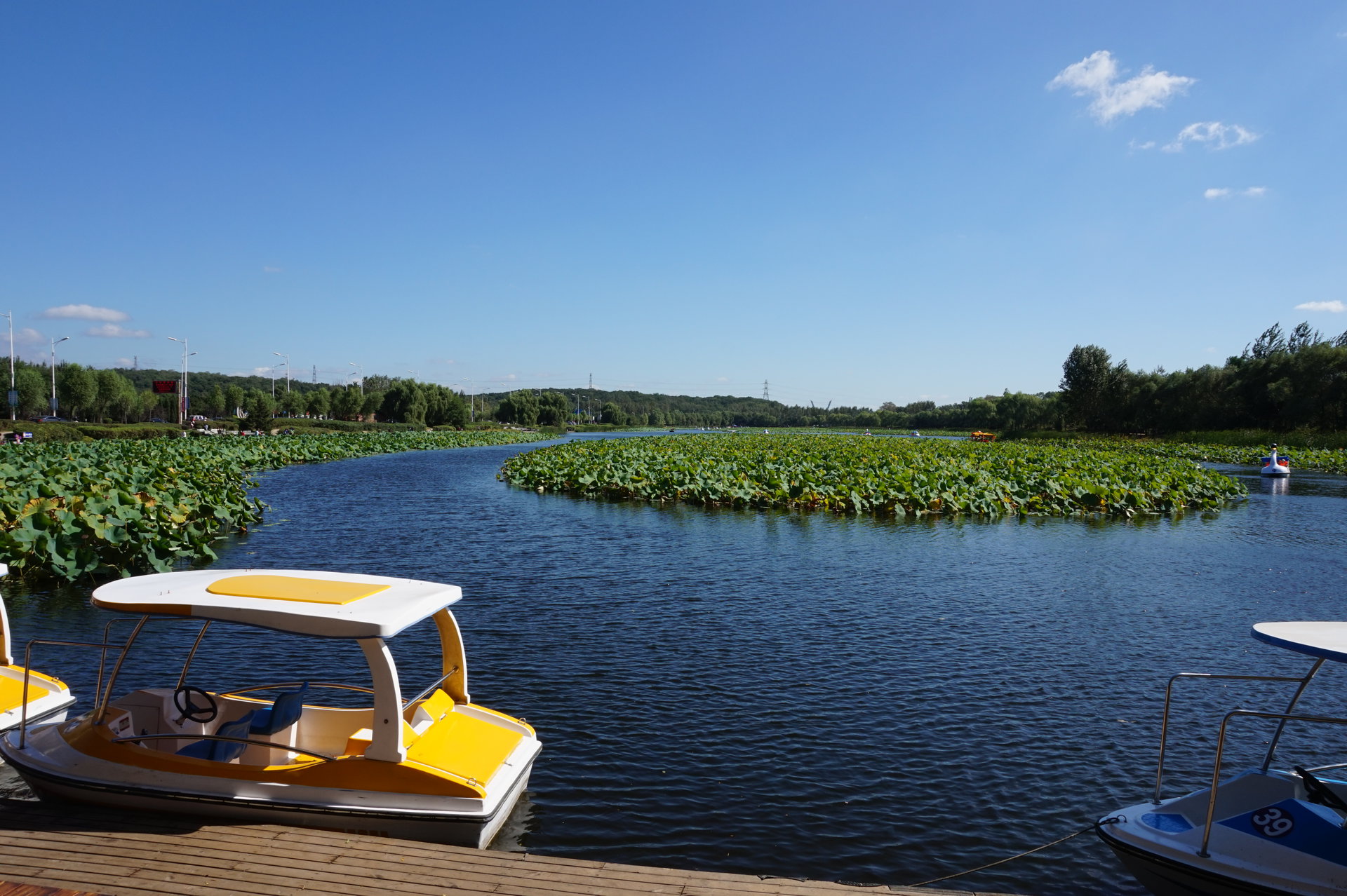 东湖公园_沈阳_百度地图