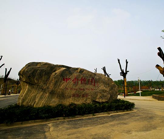 河南省周口市沈丘县槐园路