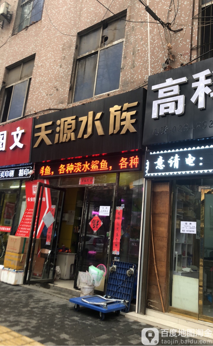 天源水族