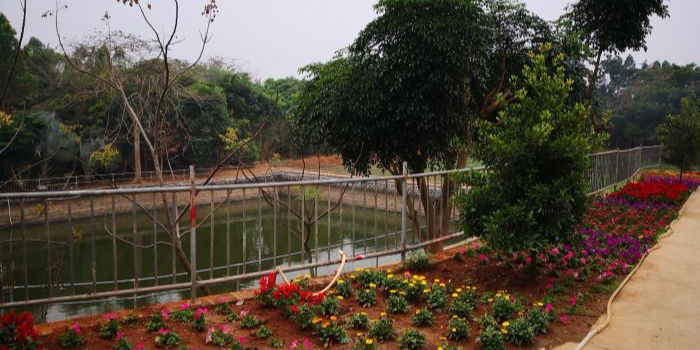 畅侃农家菜馆(烧鸡)