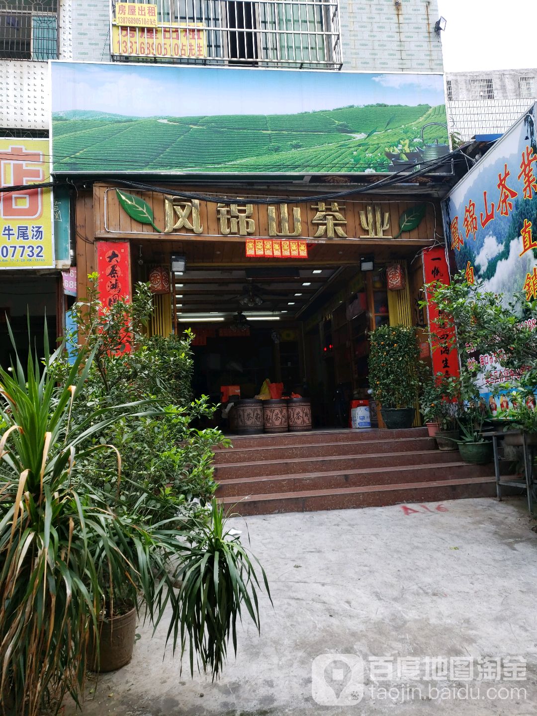 凤锦山茶叶