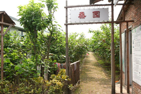 南国丝都丝绸博物馆