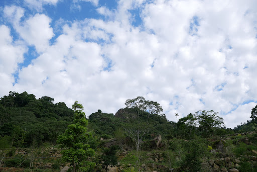 滚石部落露营场地