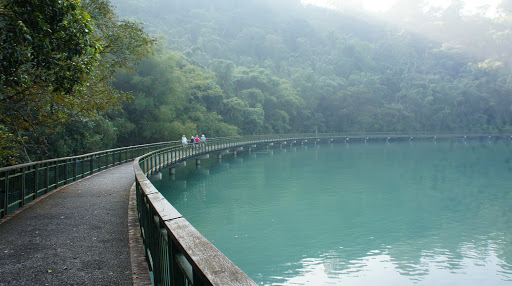 555台湾南投县鱼池乡水蛙头步道