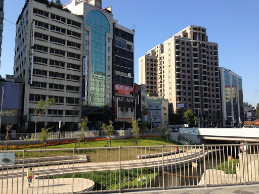 台中市柳川水岸公园.(柳岸花鸣)