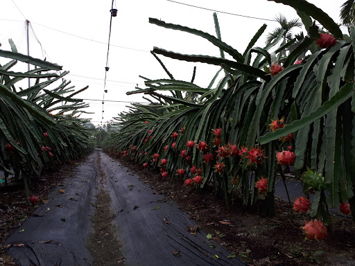 妙灵坛三清宝宫