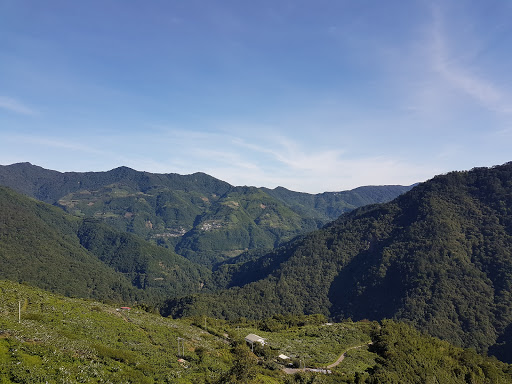 泰岗竹屋水蜜桃贩卖铺