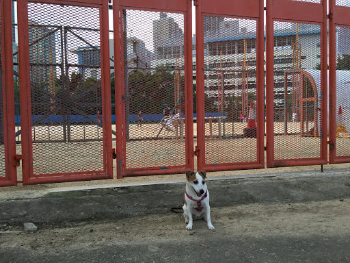 香港垒球总会