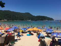 清水湾