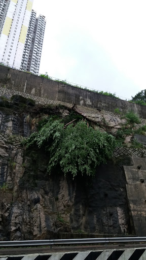 兴东商场