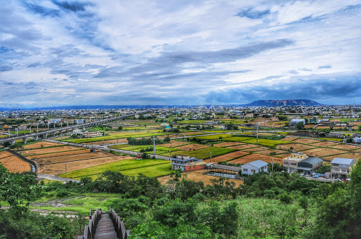 苑里桃花林步道