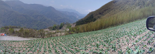 四季林道栅栏