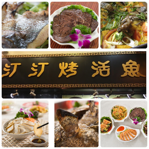 汀汀烤活鱼