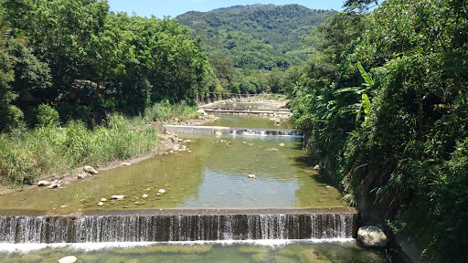 台湾原生种植物公园