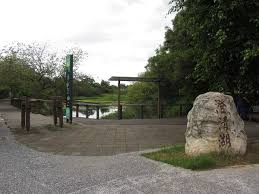 鸟松湿地教育公园