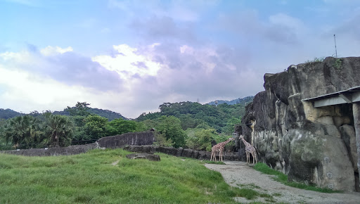 木栅动物园停车场(河川高滩地)