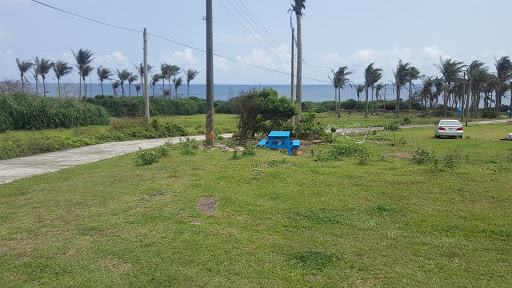 WADA野居露营地