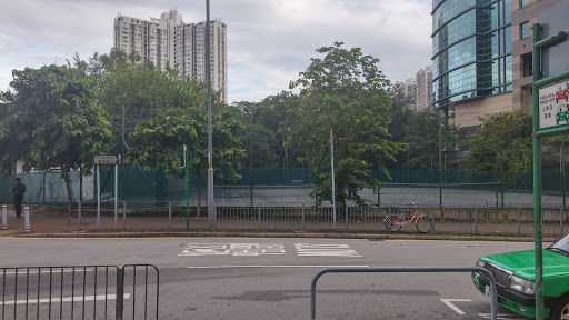 粉岭临时网球场