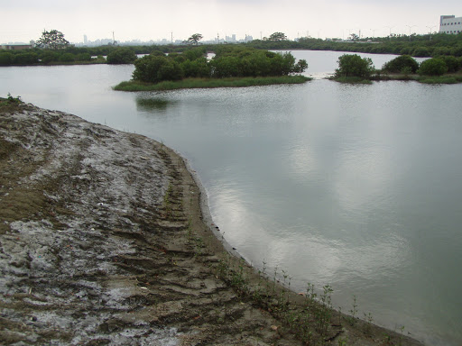 红树林生态公园