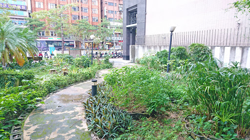 阅读药草花园