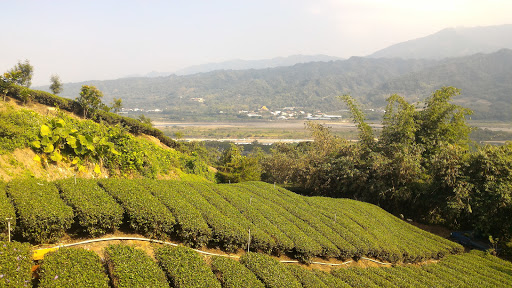 山边岭 土地公庙