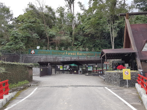 森林浴步道