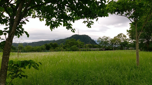 南岸沉砂池