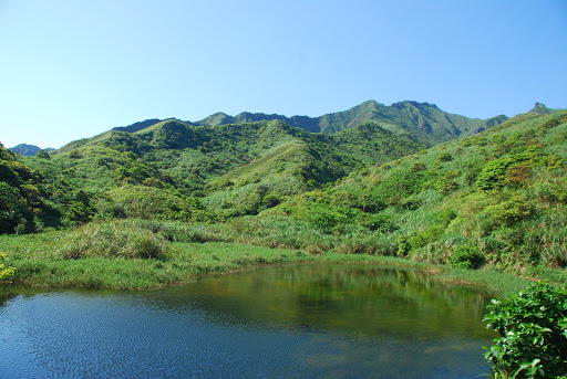 黄金池