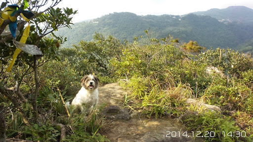 狮头山公园