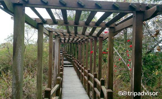 大坑七号登山步道