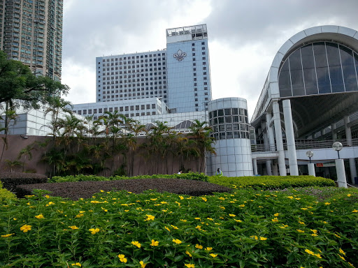 Kowloon Park Soft Ground Playground