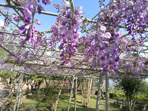 长青居民宿