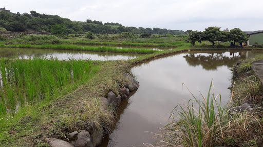 三芝农民市集