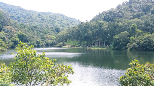 流水响郊游径-入口