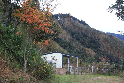 鸟嘴山露营区