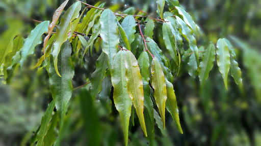 福山植物园管制站