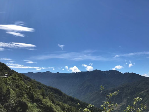 小胖妹套房