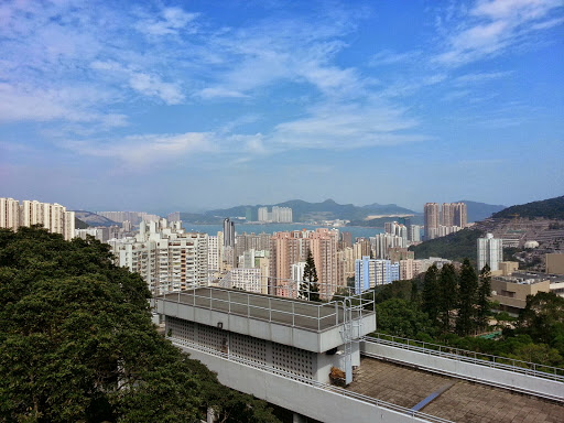 歌连臣角火葬场