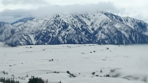 湖美公园