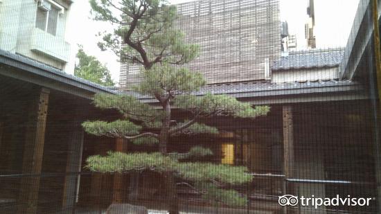 轻孜酌
