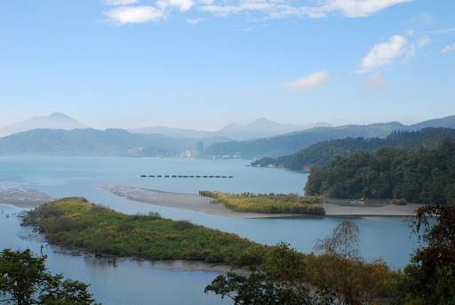 水鸟保护器