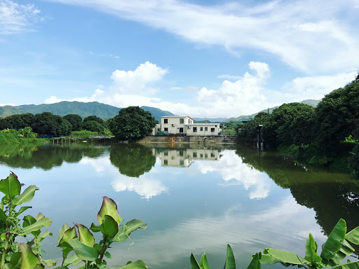 塱原湿地