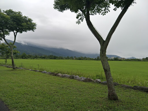 王菲草原