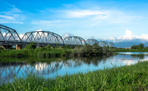 大树湿地公园