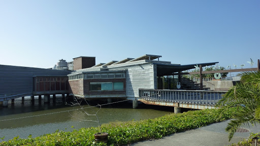 黑面琵鹭生态展示馆