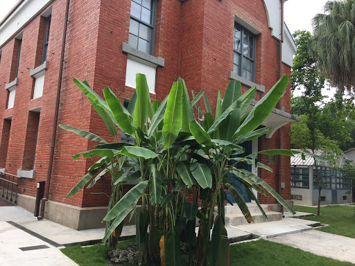 台北植物园腊叶馆