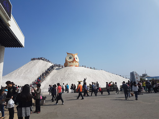 七股盐山猫头鹰之巅