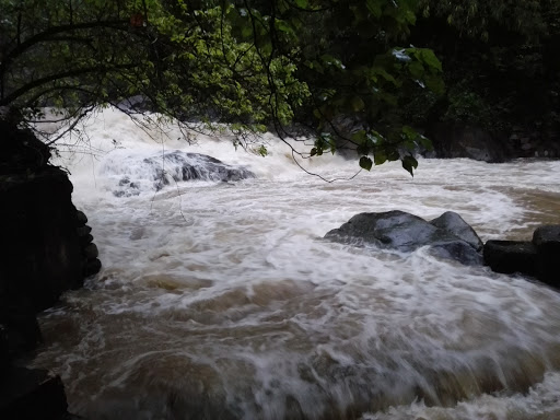 Tso Kung Tam Park