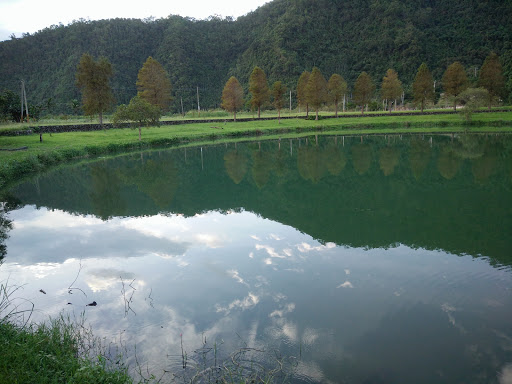 八卦湖灵鹤禅寺